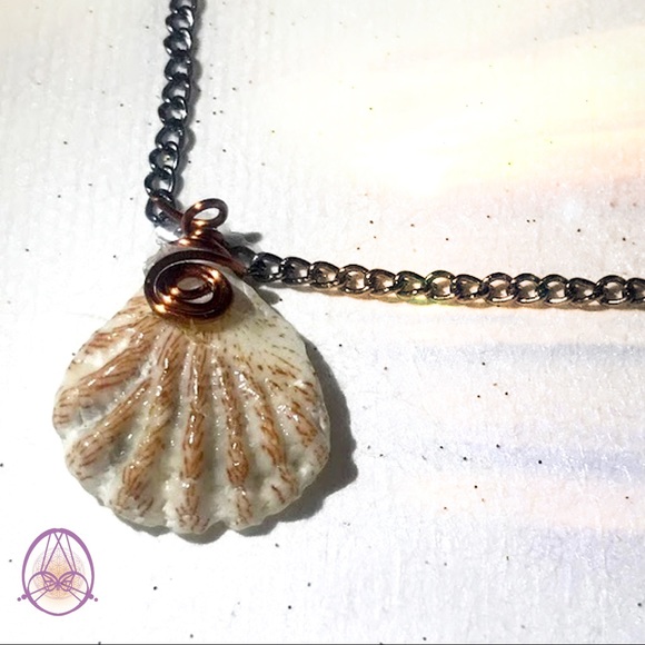 Bear Paw Shell Necklace - Picture 2 of 4